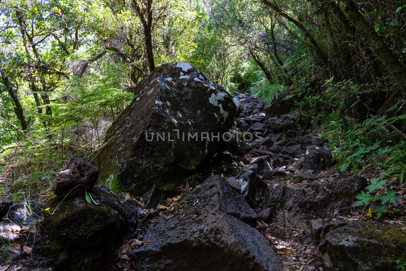 A stack of stones near the path in forest. Madeira island.