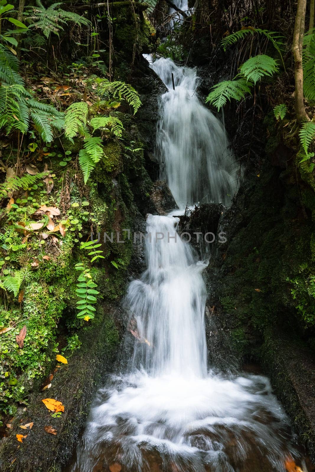 Mini waterfall in Madeira Island