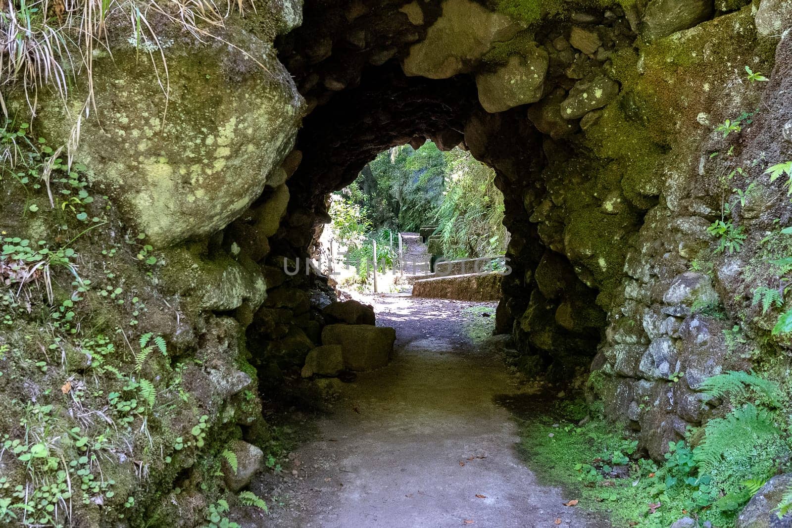 The path by caminho do pinaculo e folhadal levada in Madeira island