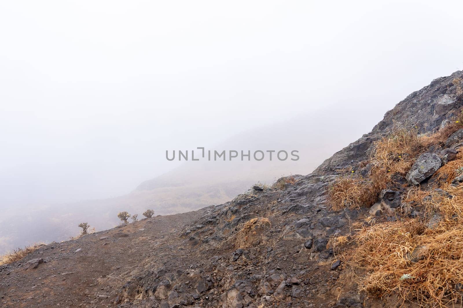 View Ponta sao lourenco madeira east point hiking path in Madeira island