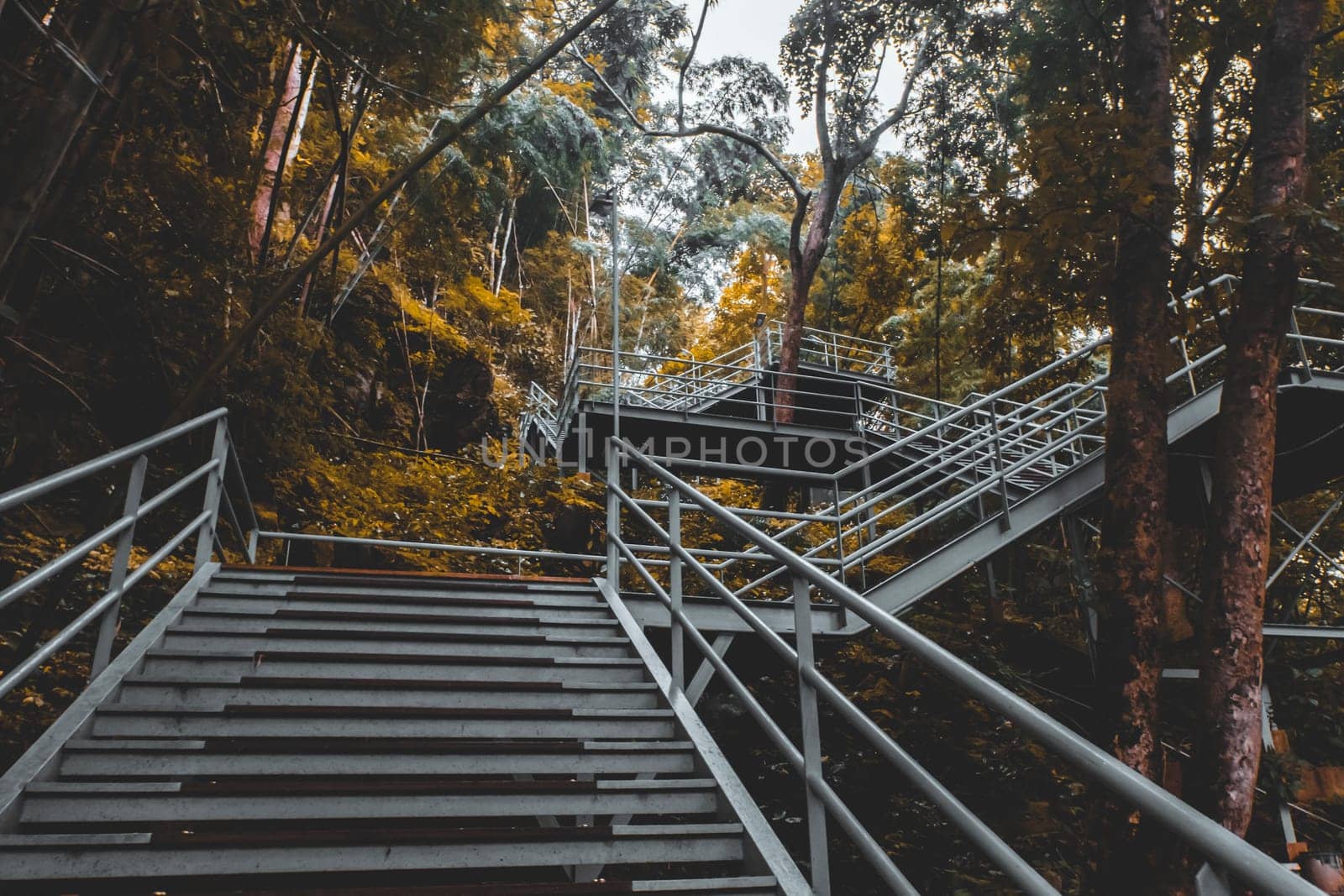 climbing stairs during fall autumn season outdoors . Autumn in the park .  yellow leaf in Autumn season . season change . turning and changing moving on concept idea background