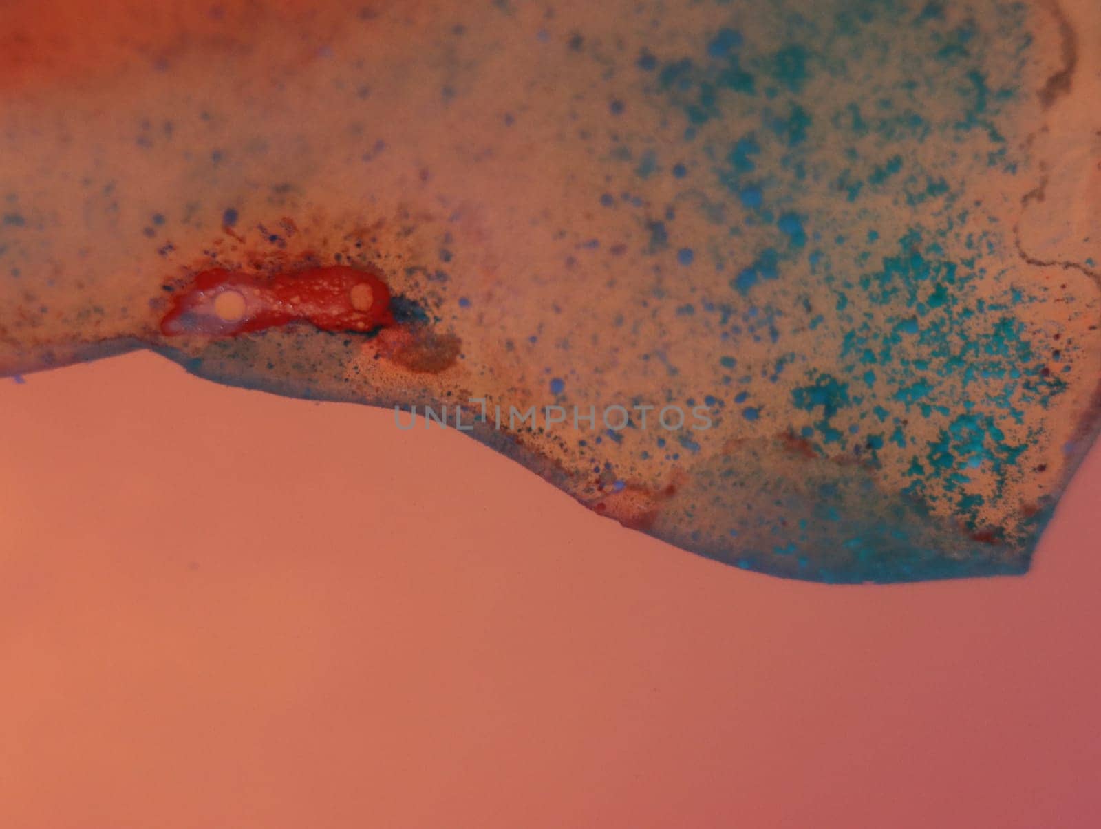 abstract background fantasy illusion rarity imagination virus bacteria sensation