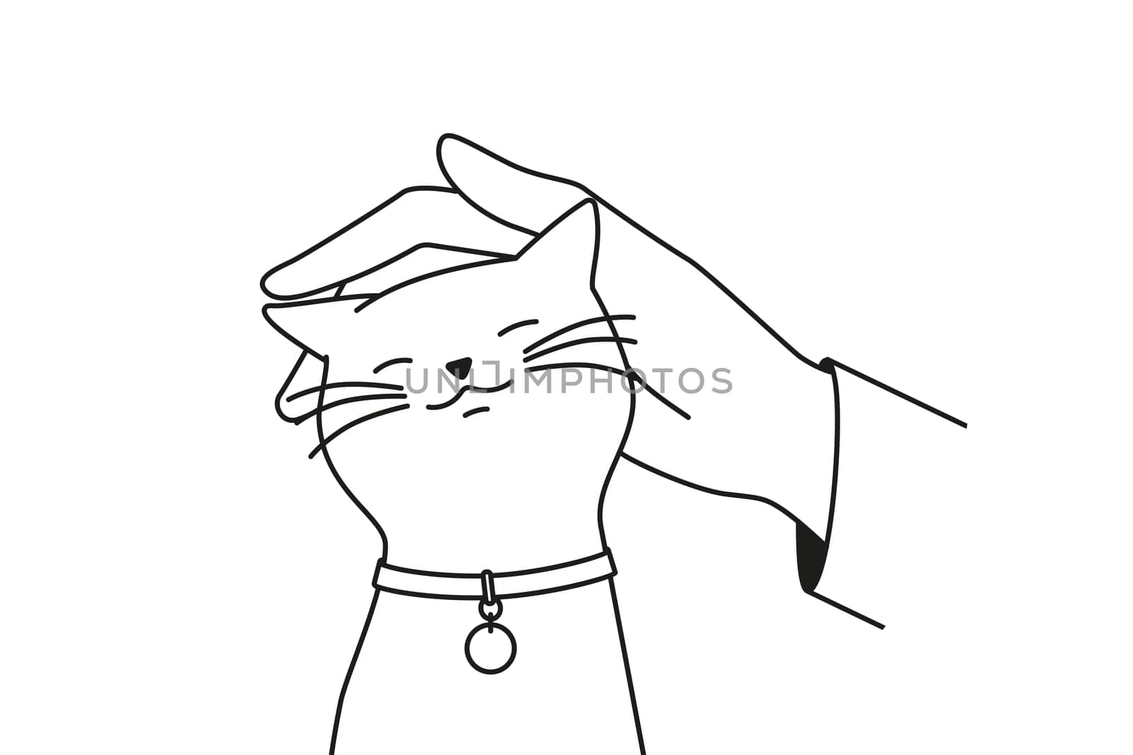 Hand caress cute cat
