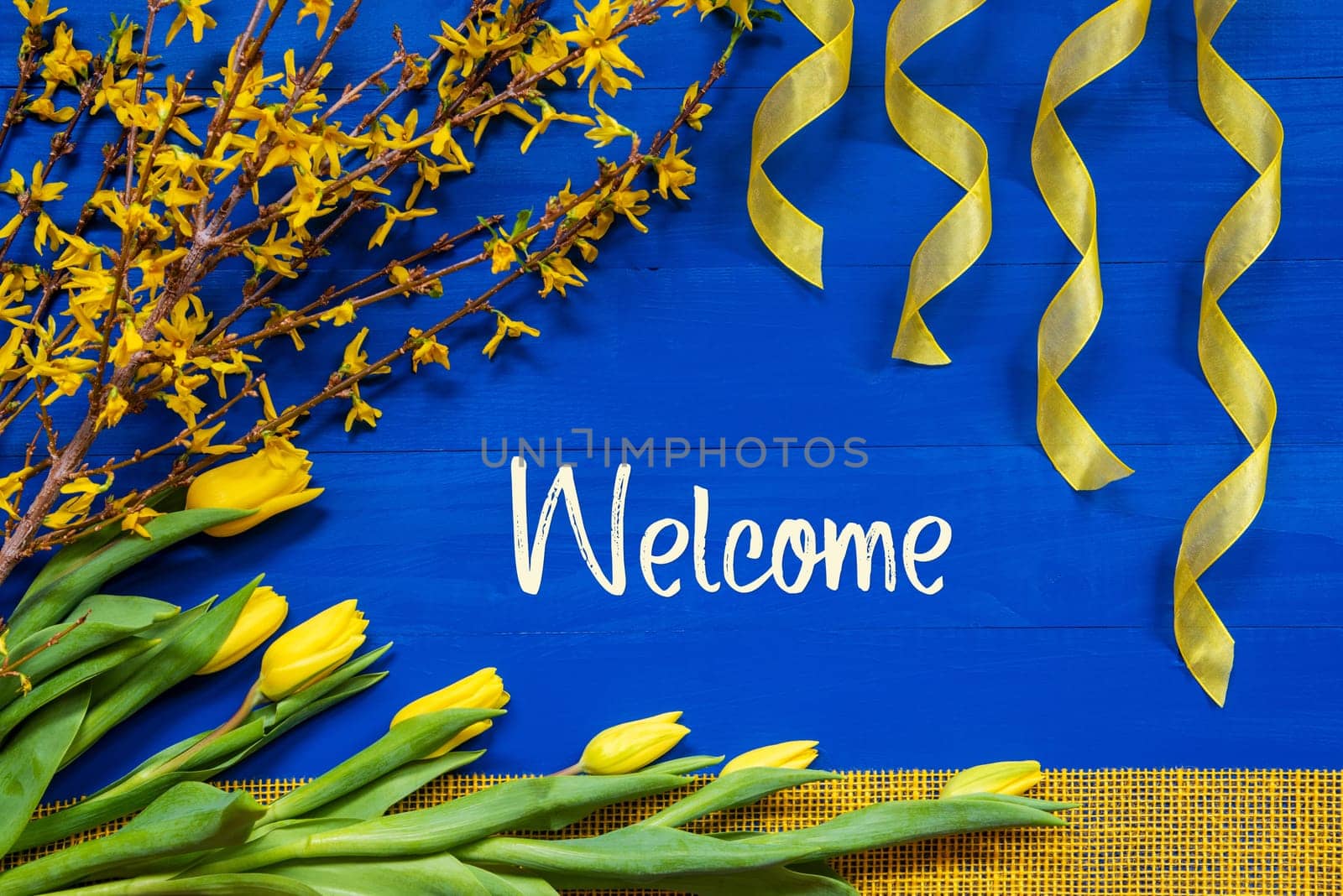 English Text Welcome. Yellow Spring Flowers Like Tulip And Branches. Festive Decoration With Ribbon. Blue Wooden Background