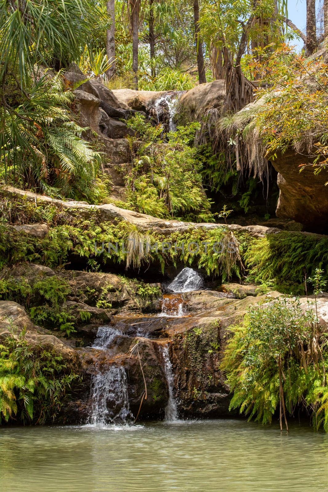 Rain forest waterfall, pure unattached nature, Isalo national park. Beautiful unattached Madagascar wilderness landscape