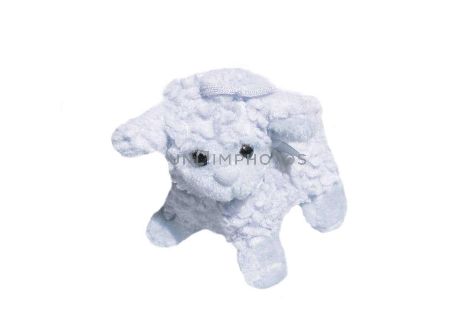 White sheep toy isolated on white background. Sheep soft toy. Plush Valentines lamb.