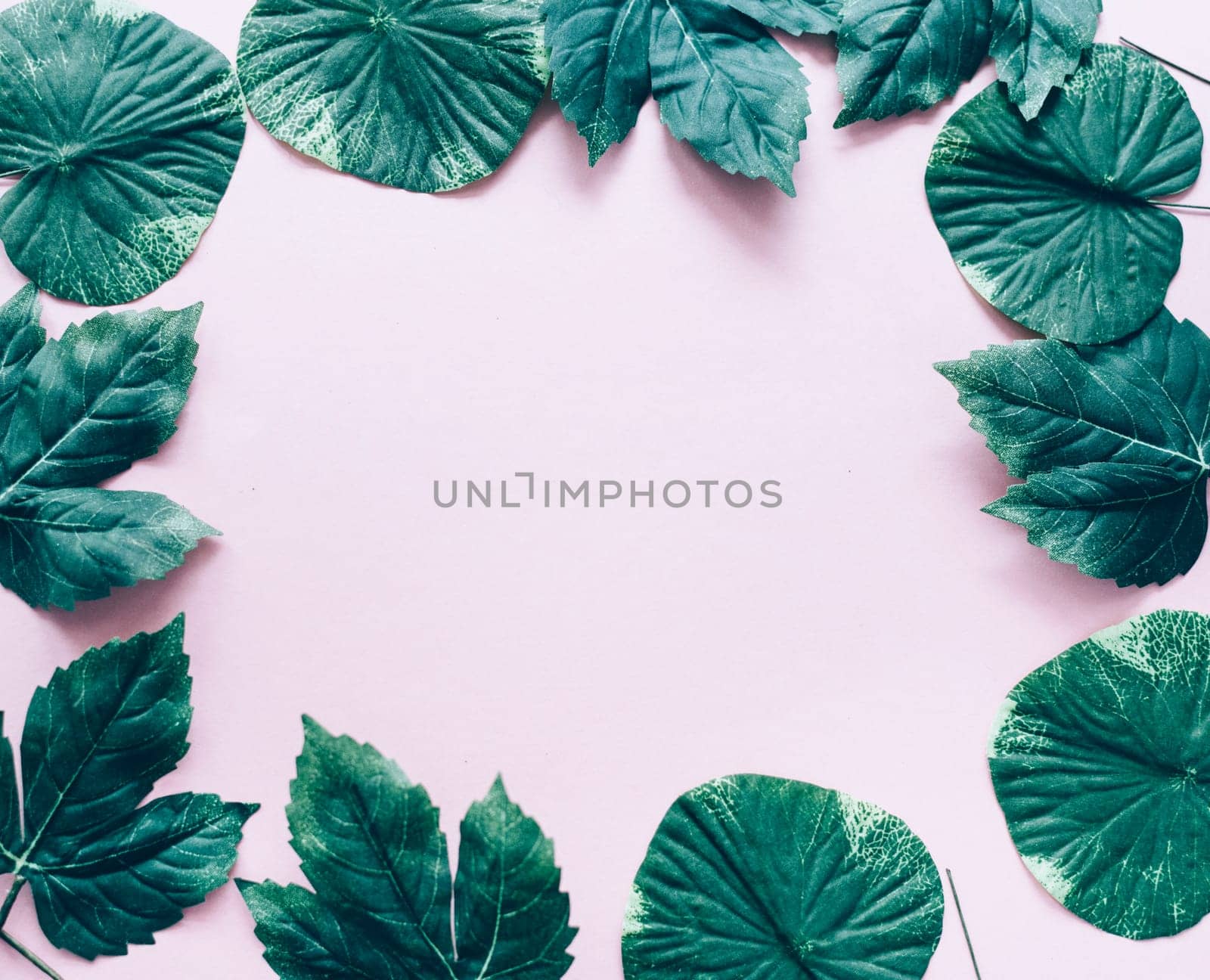 Dark green leaves frame over pastel pink from above. Trendy social media minimal background with nature foliage border. Top view. Girly modern and clean banner for fashion and beauty.