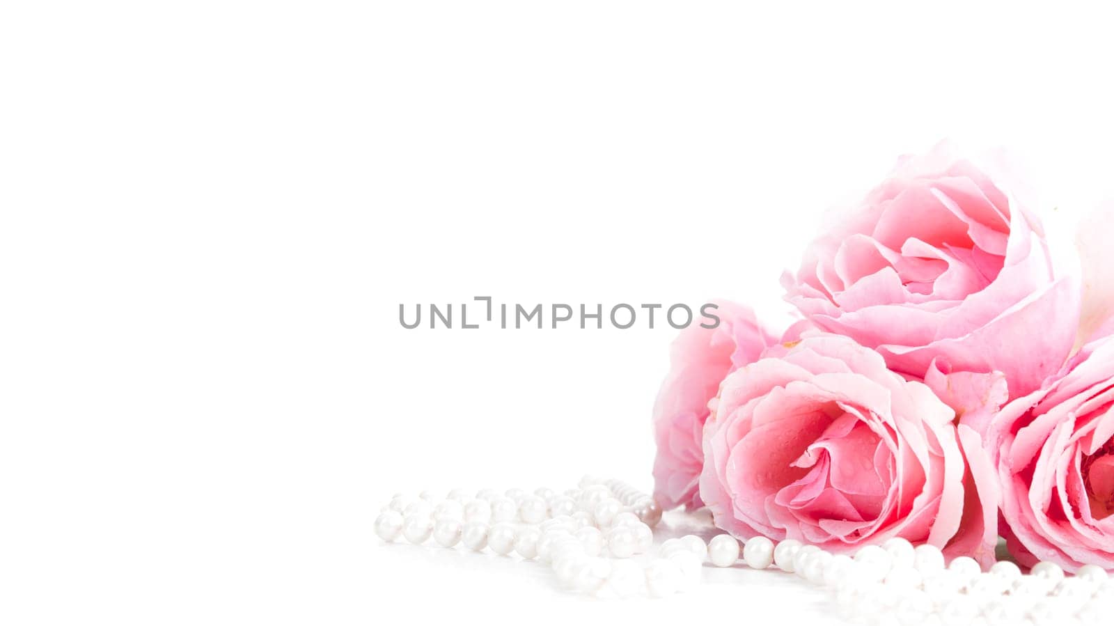 Beautiful pastel pink roses bunch and elegant bridal pearls isolated over white background. Wedding flower bouquet arrangement and classy jewelry. Bright soft clean reception invitation card and banner design.