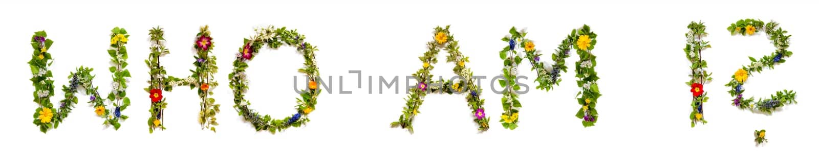 Blooming Flower Letters Building English Text Who Am I Summer And Spring Season Blossoms And Flower Lei.