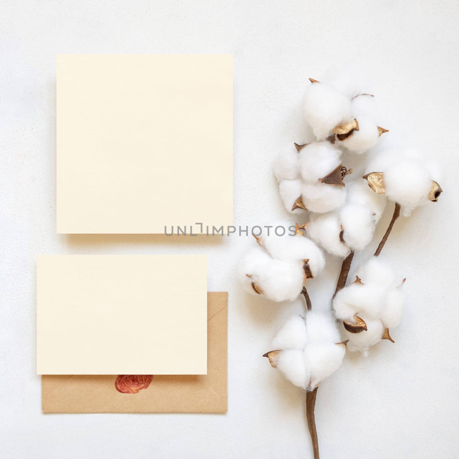 Blank cards and envelope with cotton flowers top view on white, mockup. Romantic scene with wedding suite. Bohemian pastel greeting or wedding set