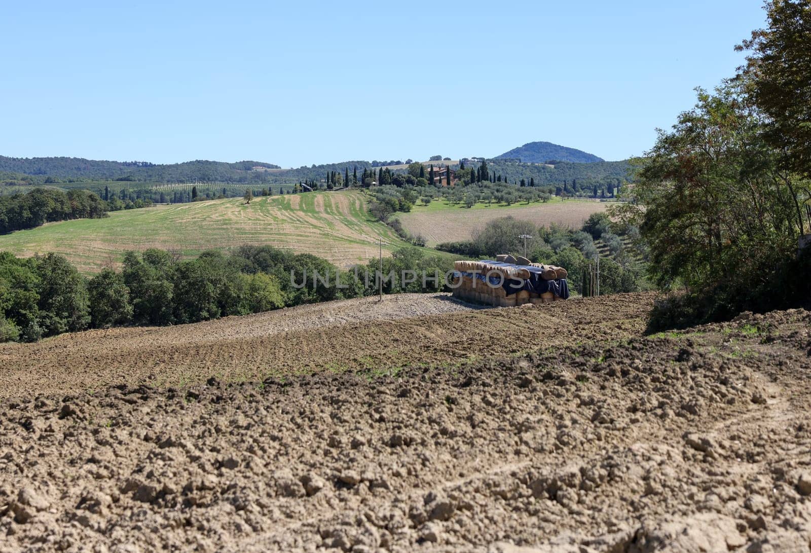 The rural landscape near Pienza in Tuscany. Italy