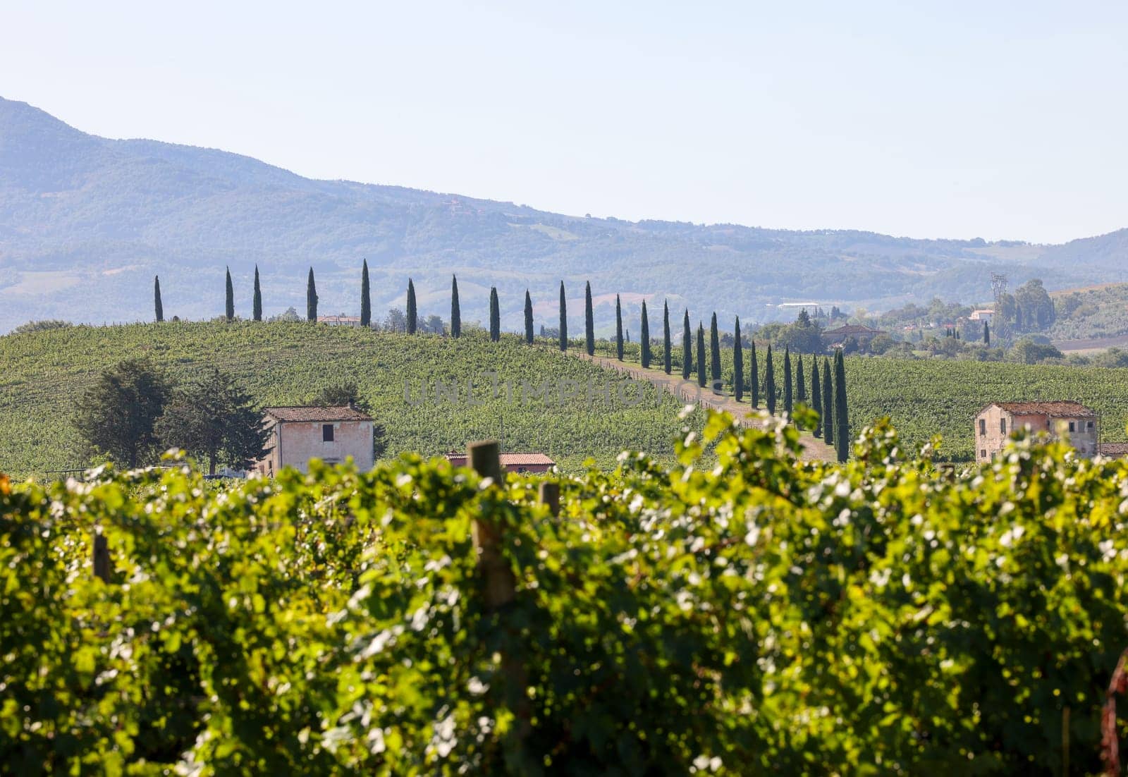 The rural landscape near Pienza in Tuscany. Italy
