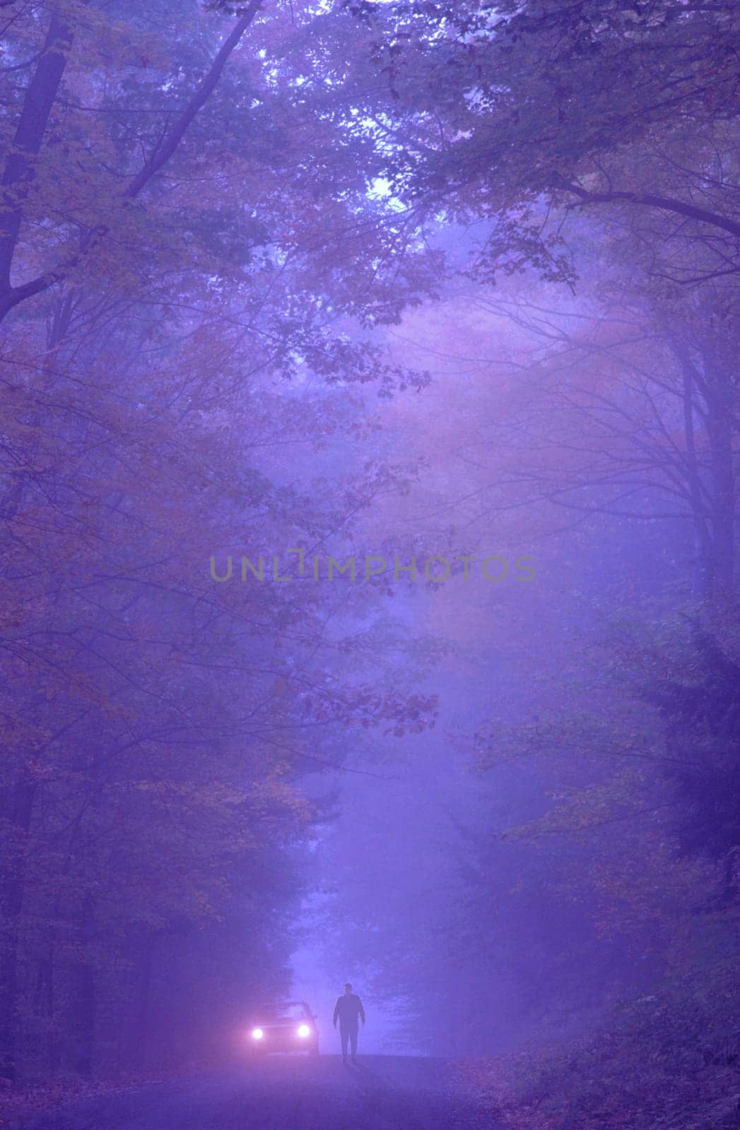 Car pulled over on a foggy evening in Hanover, New Hampshire, USA.