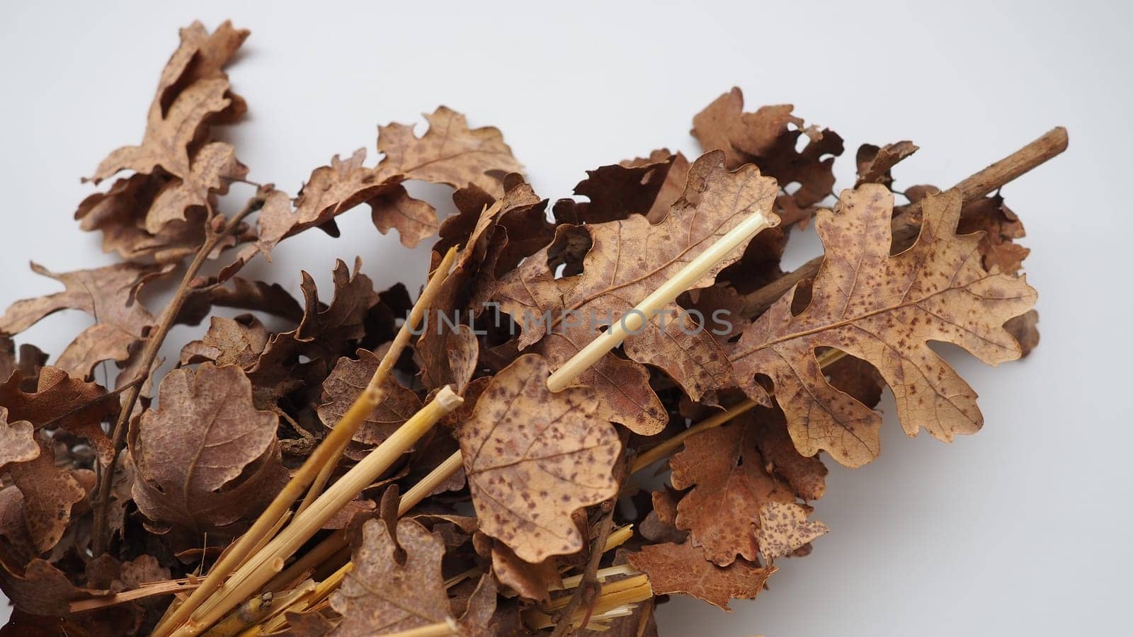 The badnjak veseljak is a tree branch or entire tree that is central to Serbian Christmas celebrations. It is placed on a fire on Christmas Eve and its branches are later brought home by worshipers