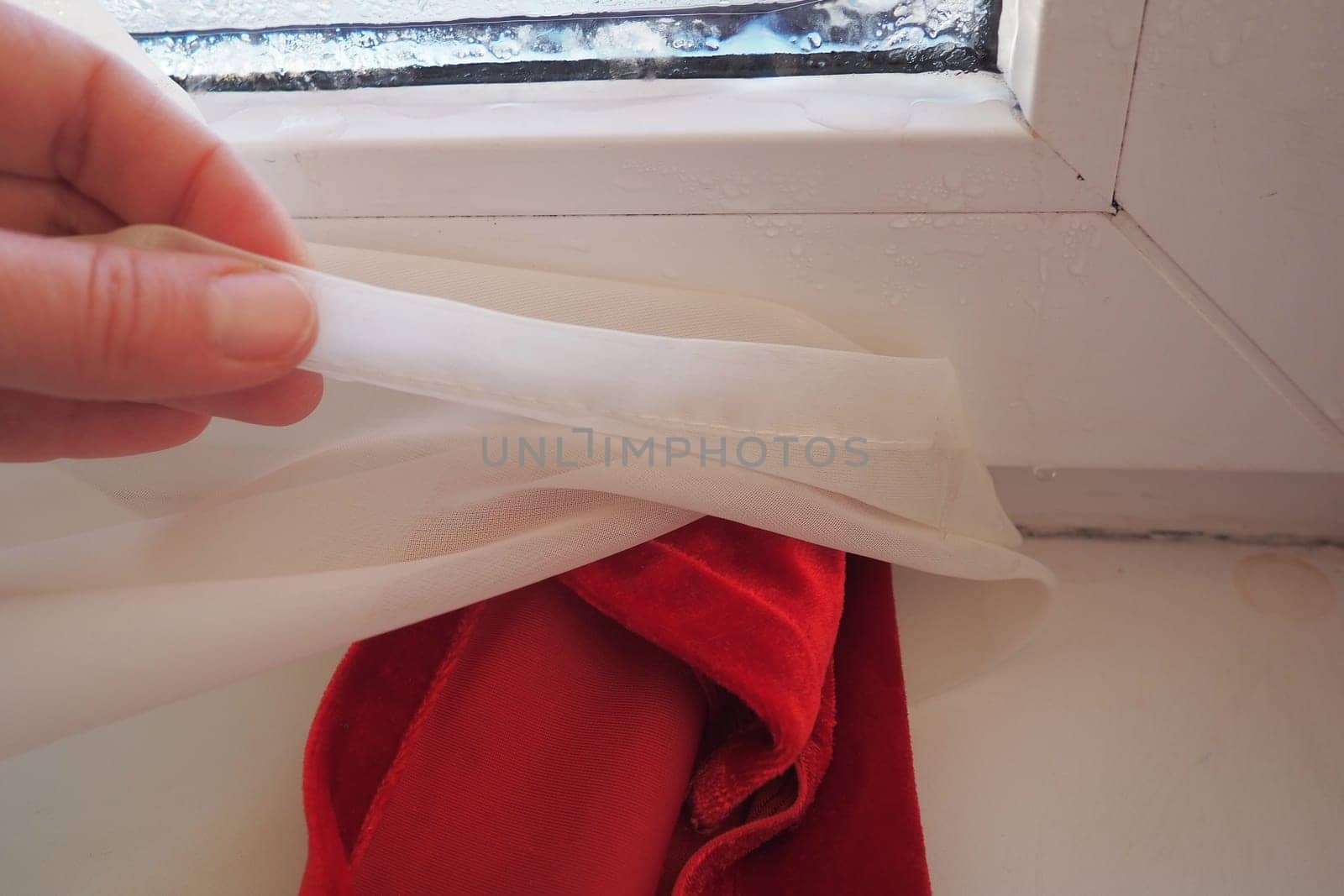 Curtain - white tulle froze to pvc window frame. Melting ice on the glass pane. Problems of heating, maintaining an ergonomic climate in the apartment. Mold on windows. Woman's hand. Economic crisis.