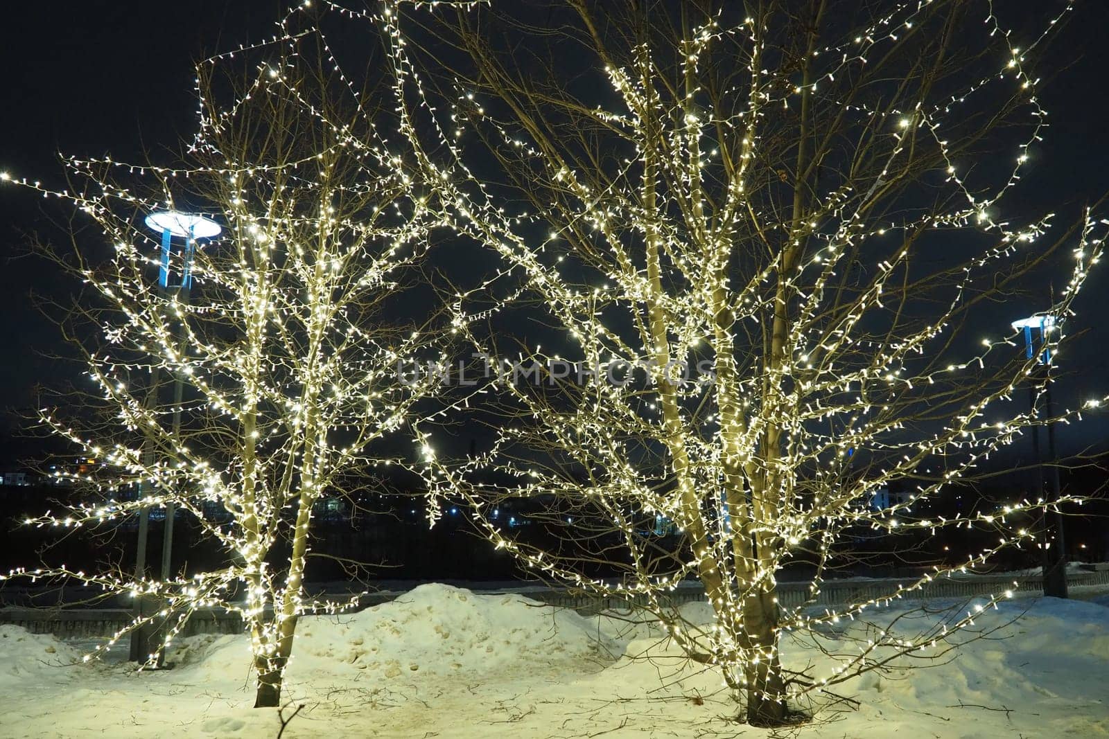 New Year or Christmas city night street. Snowdrifts. Tree lighting design. Winding garlands of the trunk and branches. LED Christmas decorations. Garlands - spider and clip light. Electric lighting.