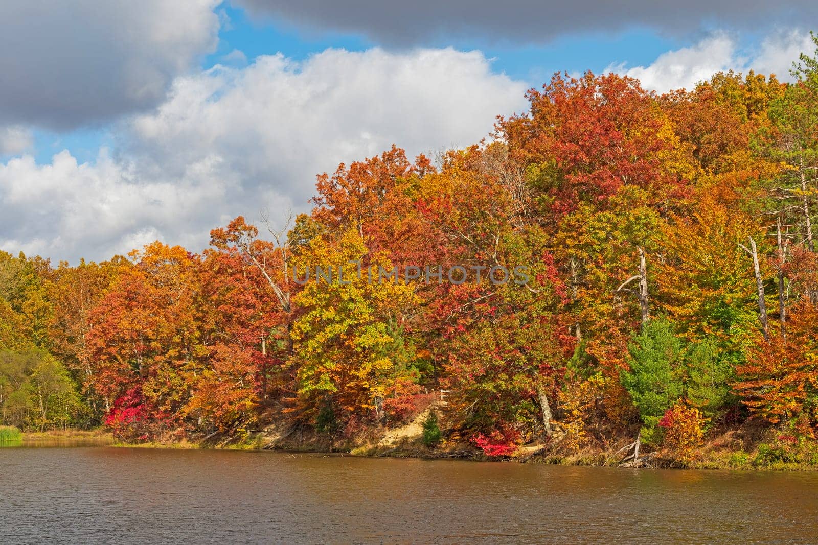 Vibrant Fall Colors on An Autumn Day on Strahl Lake in Brown County State Park in Indiana