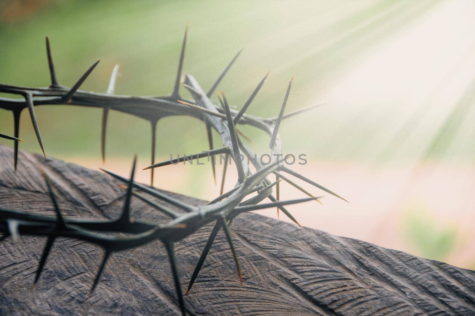 Crown of thorns with customizable space for the and Christian quotes. Copy space and Christianity concept.