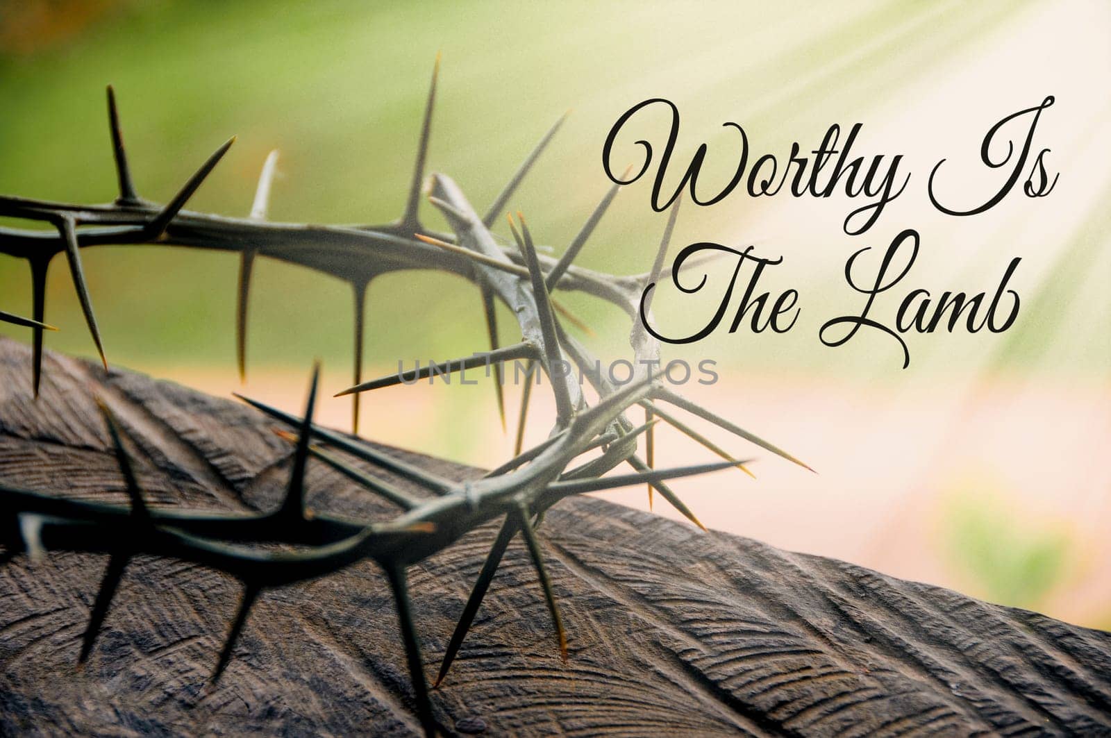 Worthy is the Lamb quote with shining Crown of thorns background.