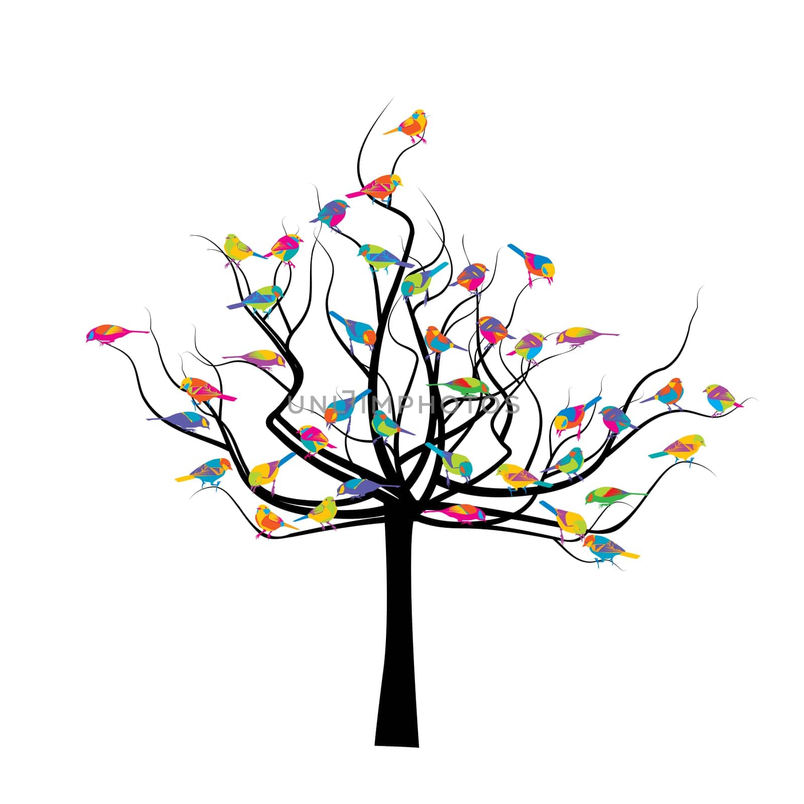 Tree with colored birds isolated on white background