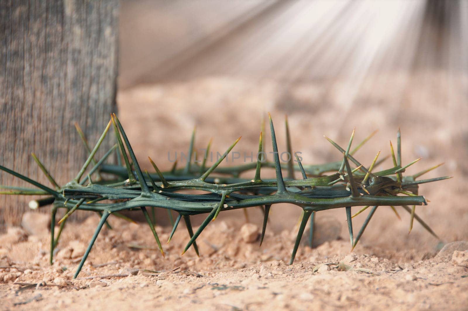 Crown of thorns with customizable space for the and Christian quotes. Copy space and Christianity concept.
