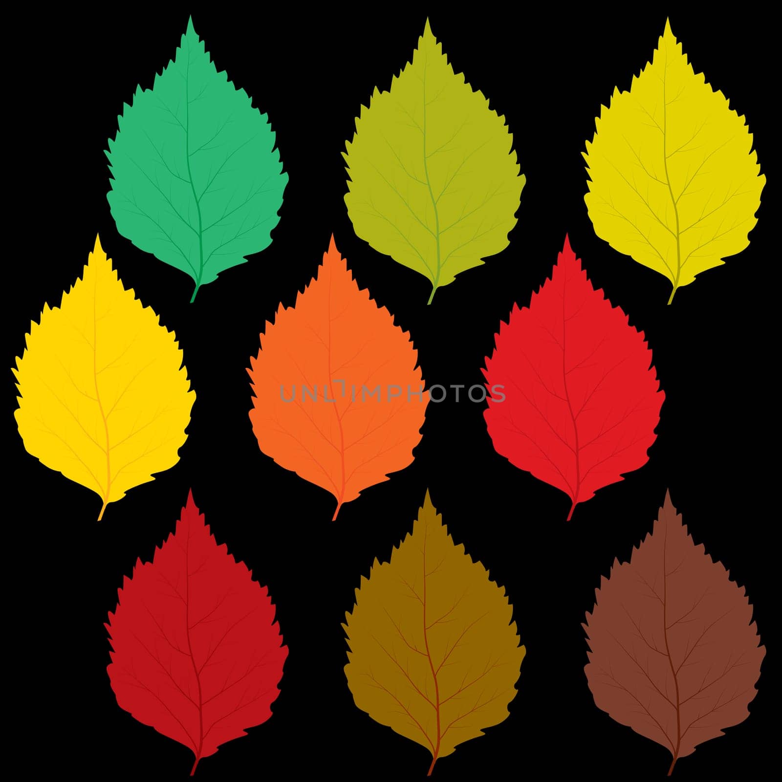 Set of autumn leaves of different colors