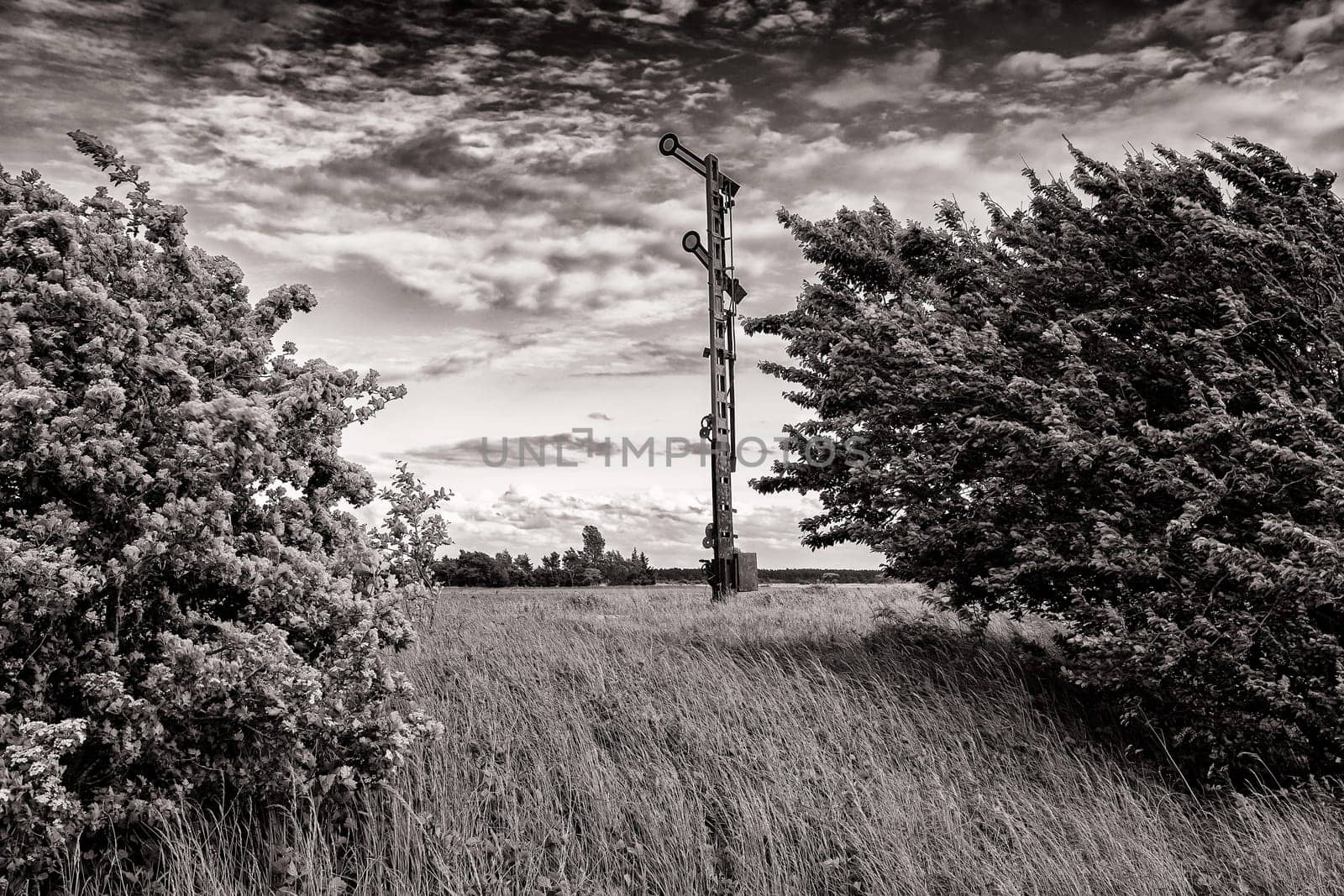 old wagons and tracks on the former railway line to Fischland-Darss peninsula, Bresewitz, Mecklenburg-Western Pomerania, Germany