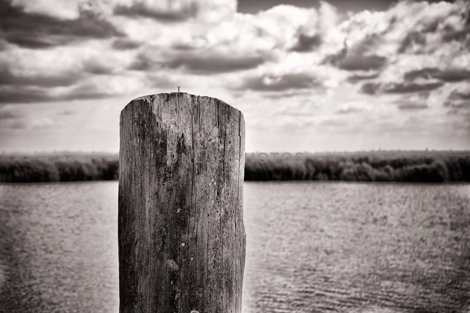Zingster Strom river at the port of Zingst, Fischland-Darß peninsula, Mecklenburg-West Pomerania, Germany