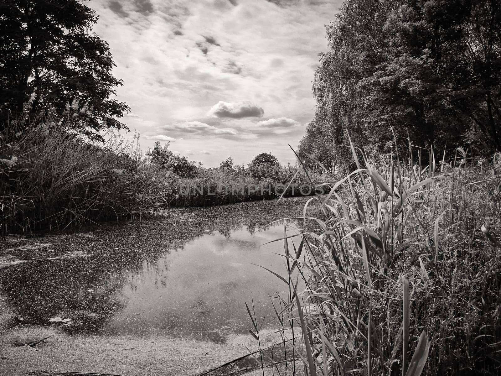 small canal in Brandenburg countryside, Germany