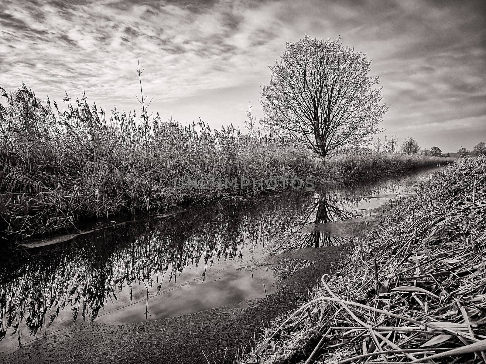 small canal in Brandenburg countryside, Germany
