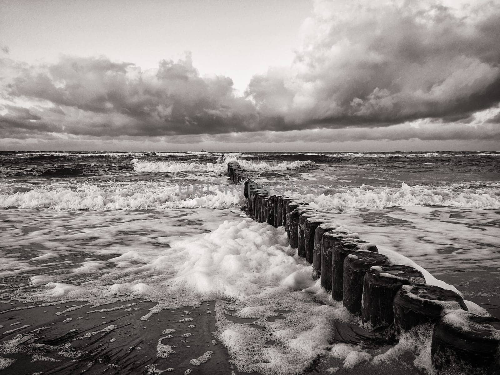 Baltic Sea coast near Kuehlungsborn, Mecklenburg-West Pomerania