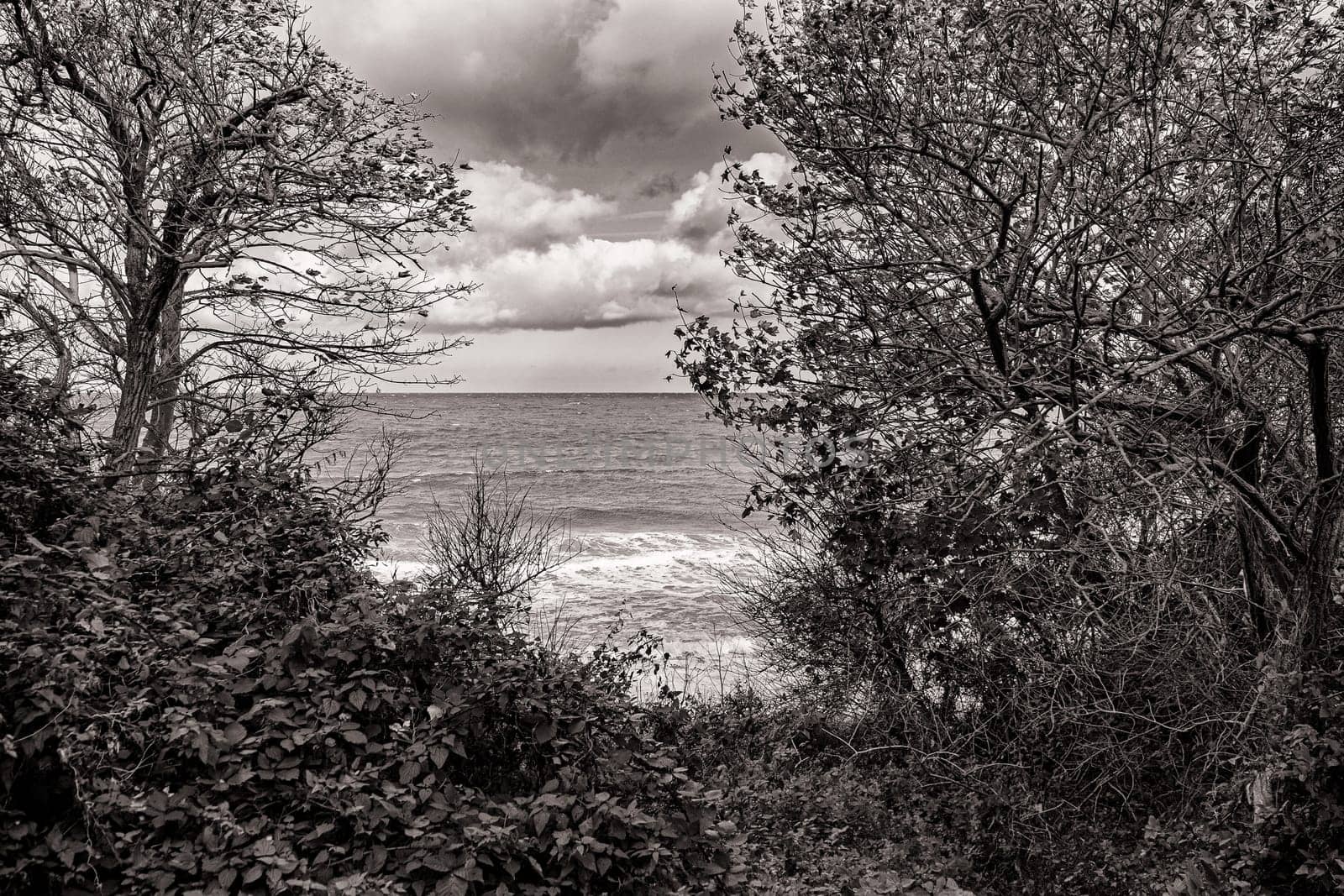 Baltic Sea coast near Kuehlungsborn, Mecklenburg-West Pomerania