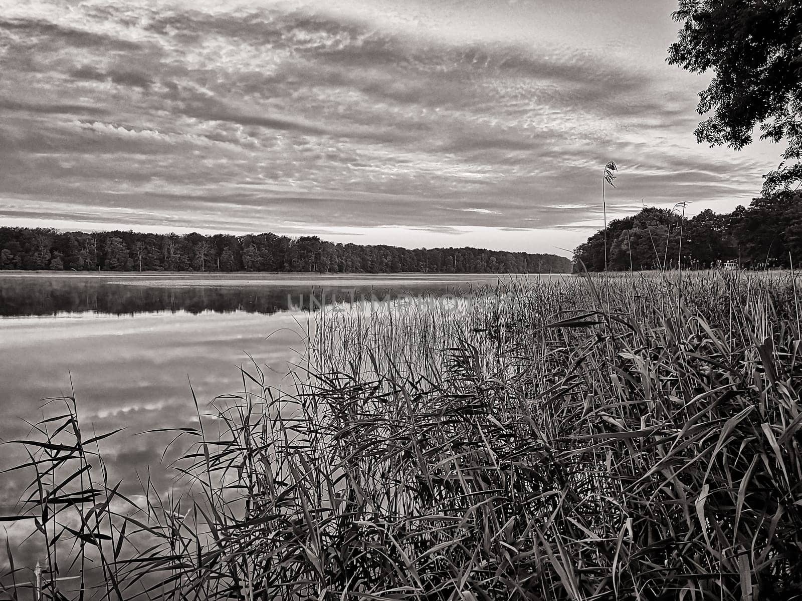 Dawn at Lübbesee near Templin, Brandenburg, Germany