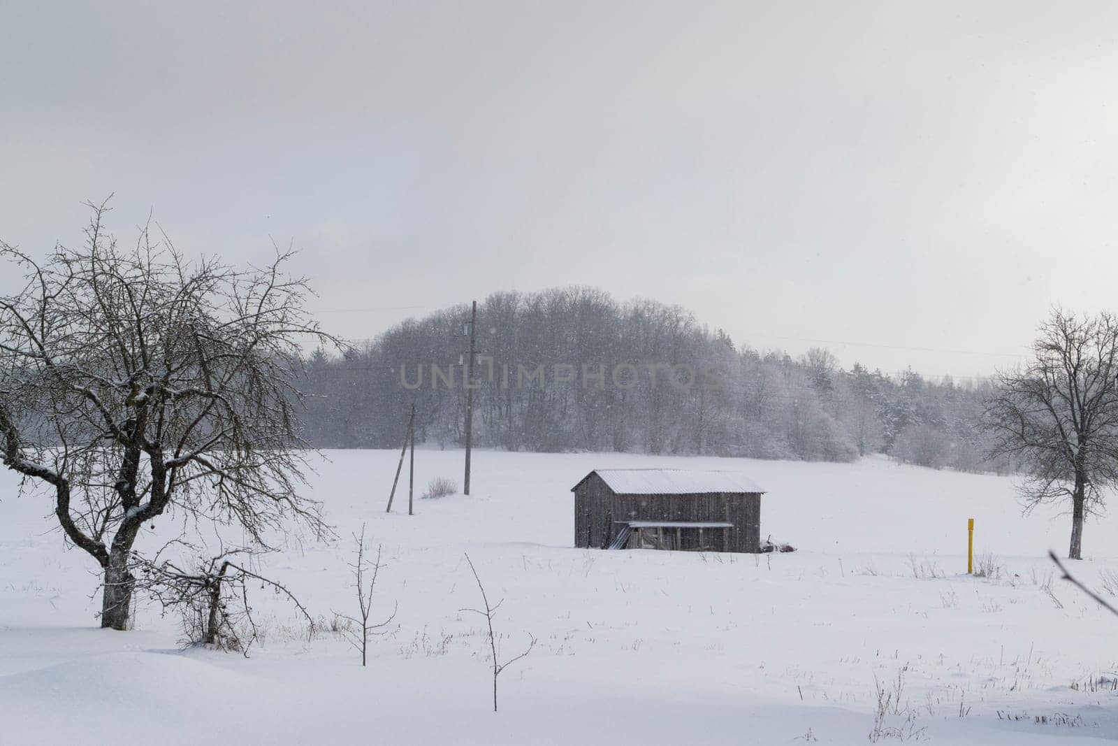 Winter landscape with an abandoned wooden house in a snowy field.
