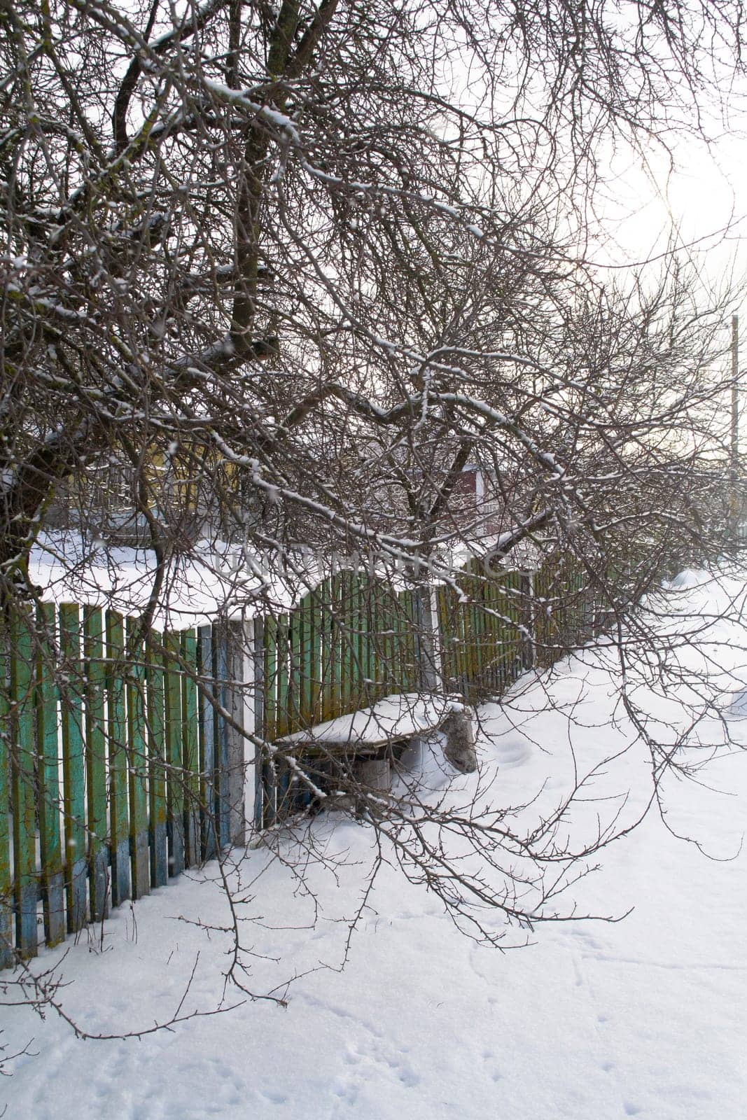 Snow covered wooden bench and fence in the countryside, vertical image