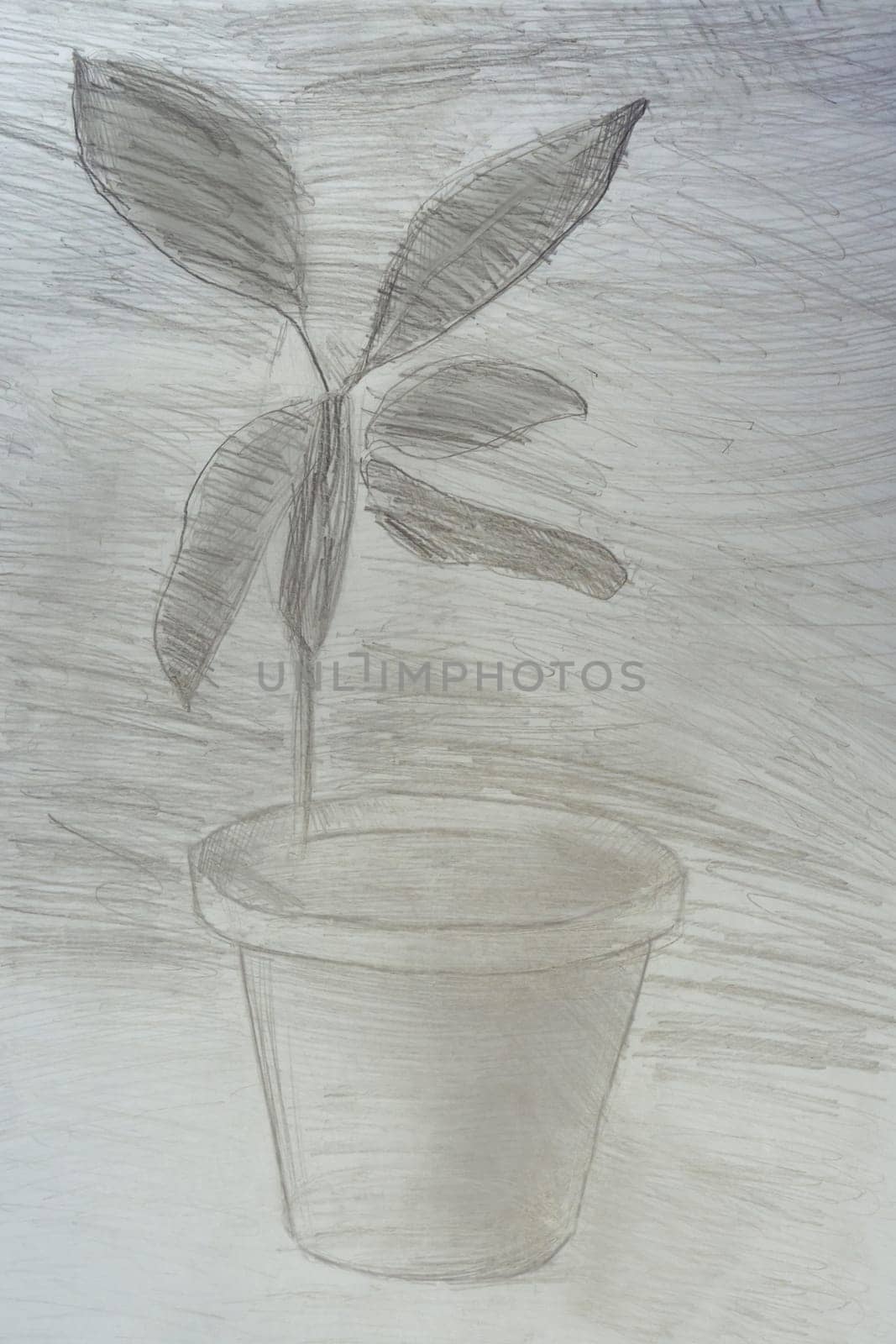 Grey drawing sketch of three-dimensional houseplant indoor plant in pot on grey background drawn by child with pencil. Artwork, development, education, drawing, painting, sketch, nature. Vertical.