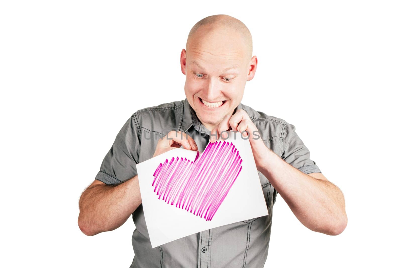 Smiling handsome bald middle-aged man in gray shirt tear pink heart drawn on sheet of paper with pleasure isolated on white background. Valentine's day, hatred, dislike, relations, emotion concept