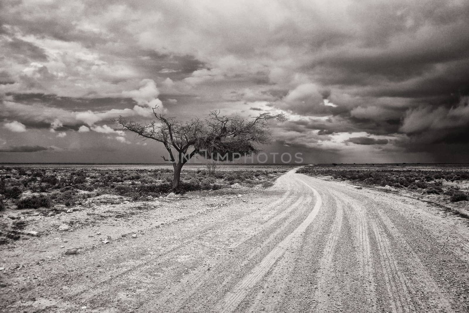Landscape in Namibia during the rainy season
