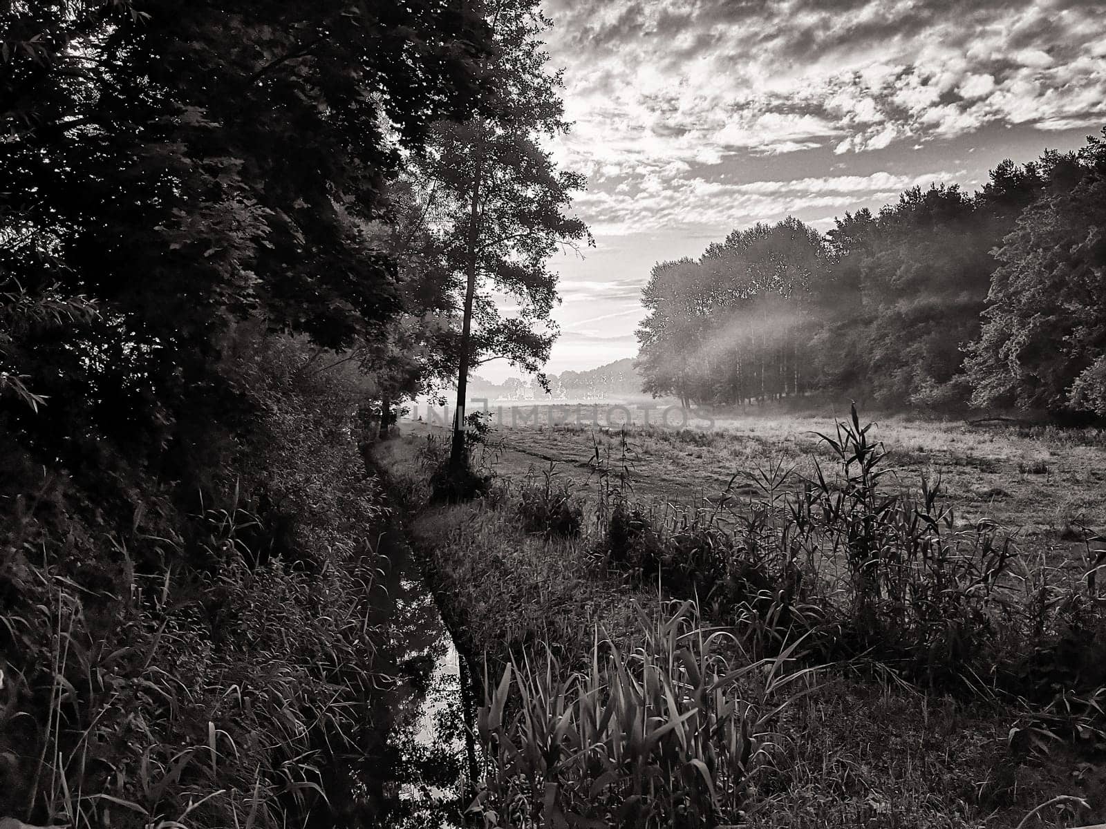 Dawn over the Schorfheide, Land Brandenburg, Germany