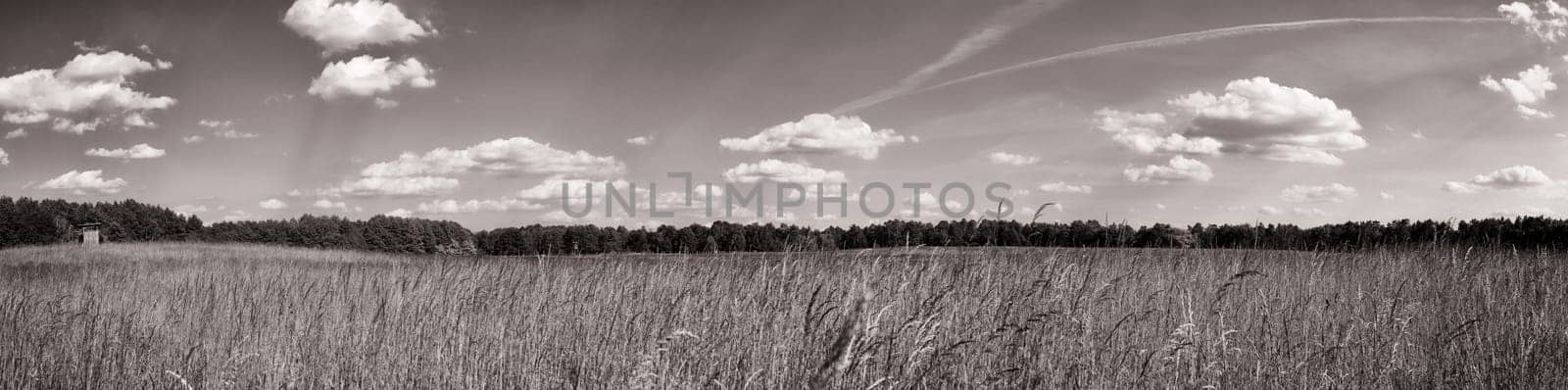 Schorfheide landscape panorama, Land Brandenburg, Germany