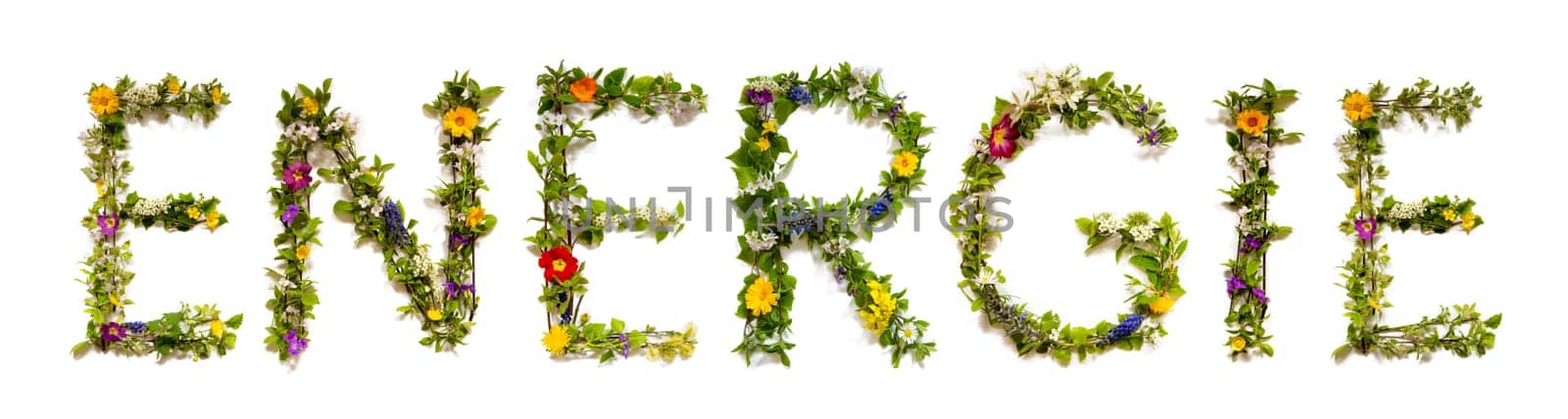 Blooming Flower Letters Building German Word Energie Means Energy. Summer And Spring Season Blossoms And Flower Lei.