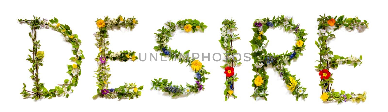 Blooming Flower Letters Building English Word Desire. Summer And Spring Season Blossoms And Flower Lei.