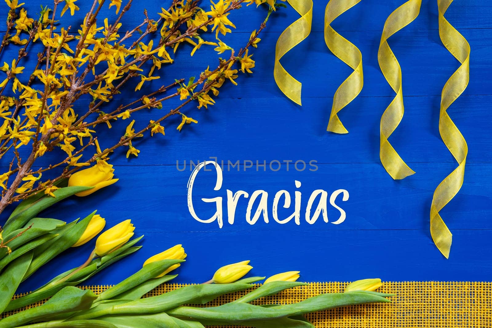 Spanish Text Gracias Means Thank You. Yellow Spring Flowers Like Tulip And Branches. Festive Decoration With Ribbon. Blue Wooden Background