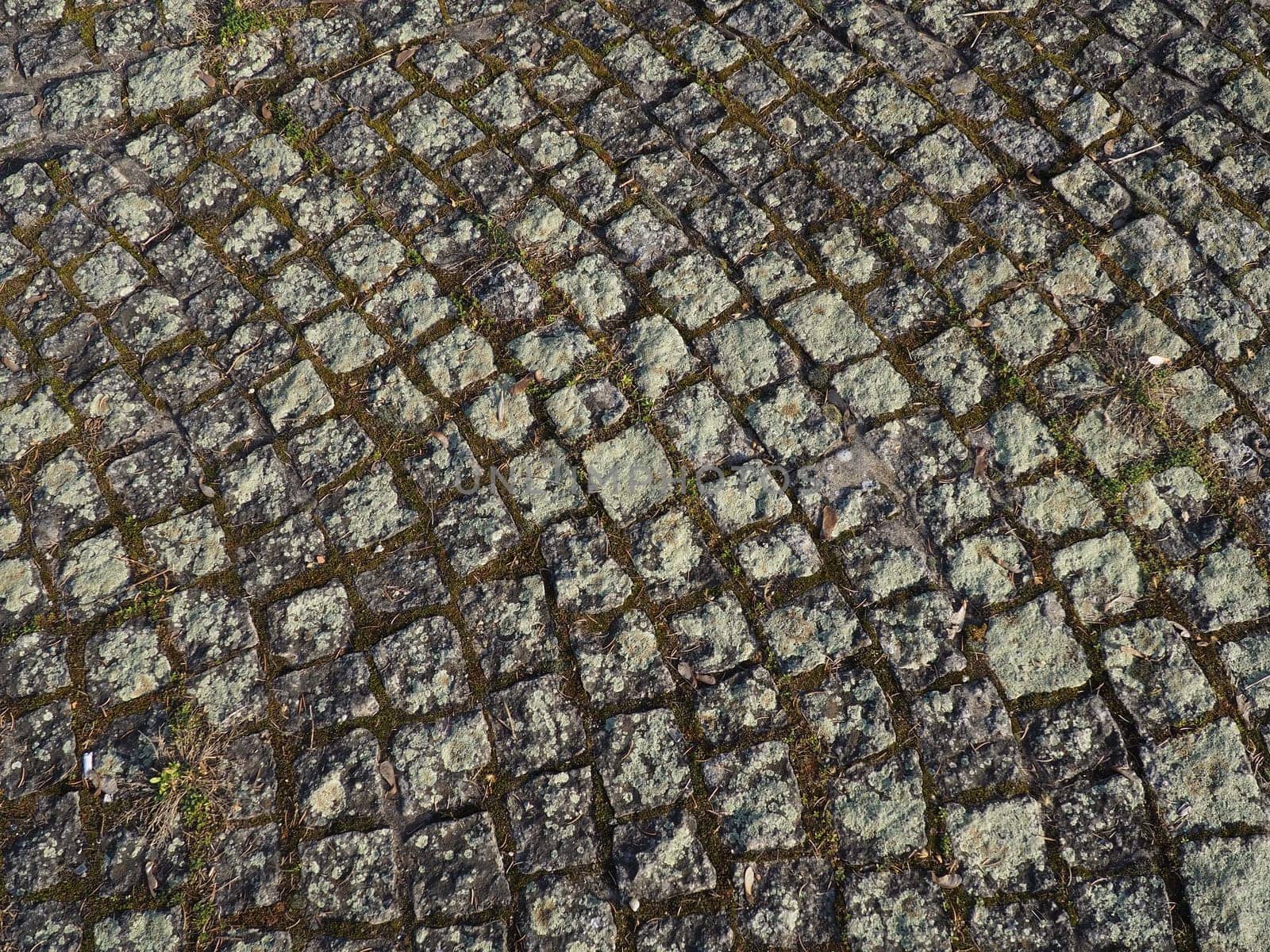 Neatly laid out old paving stones. Pavement on the square of the old town. Square and rectangular stones on the ground, covered with moss and lichens.