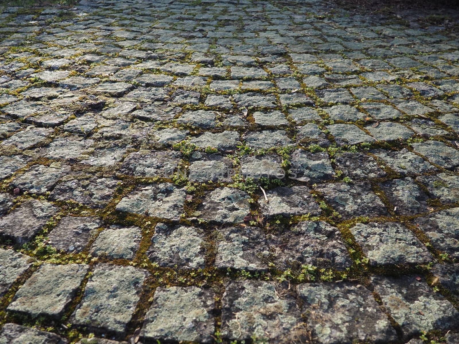Neatly laid out old paving stones. Pavement on the square of the old town. Square and rectangular stones on the ground, covered with moss and lichens.