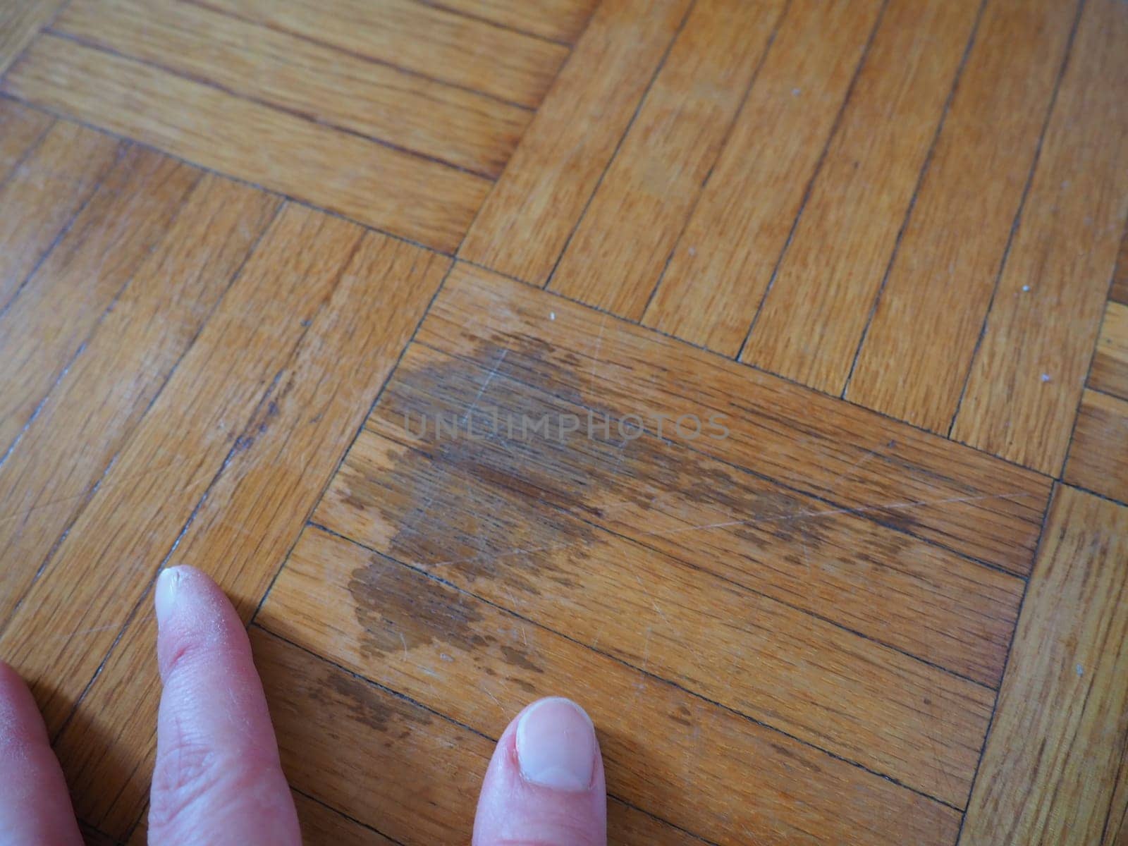 Scratched parquet flooring in the room. Scratches, chips and dents on the floor. Parquet in need of repair. The hand shows the size and length of the scratch on the parquet.