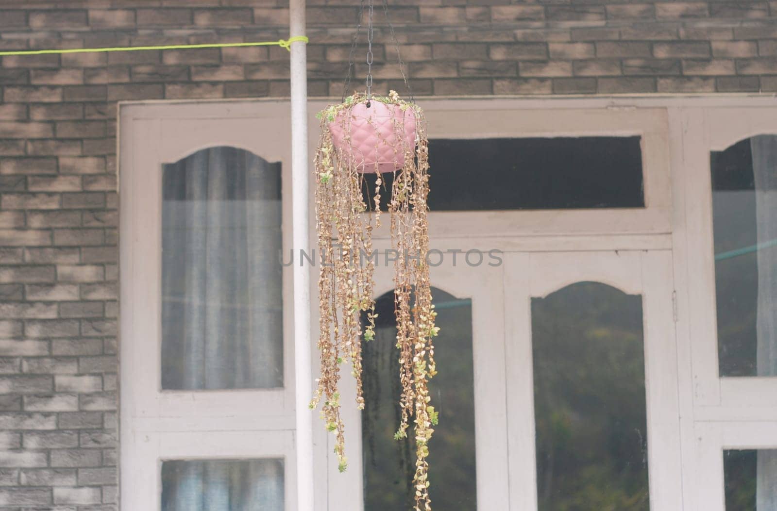 Light Hanging Lamp Planter with decorative flower in the house balcony