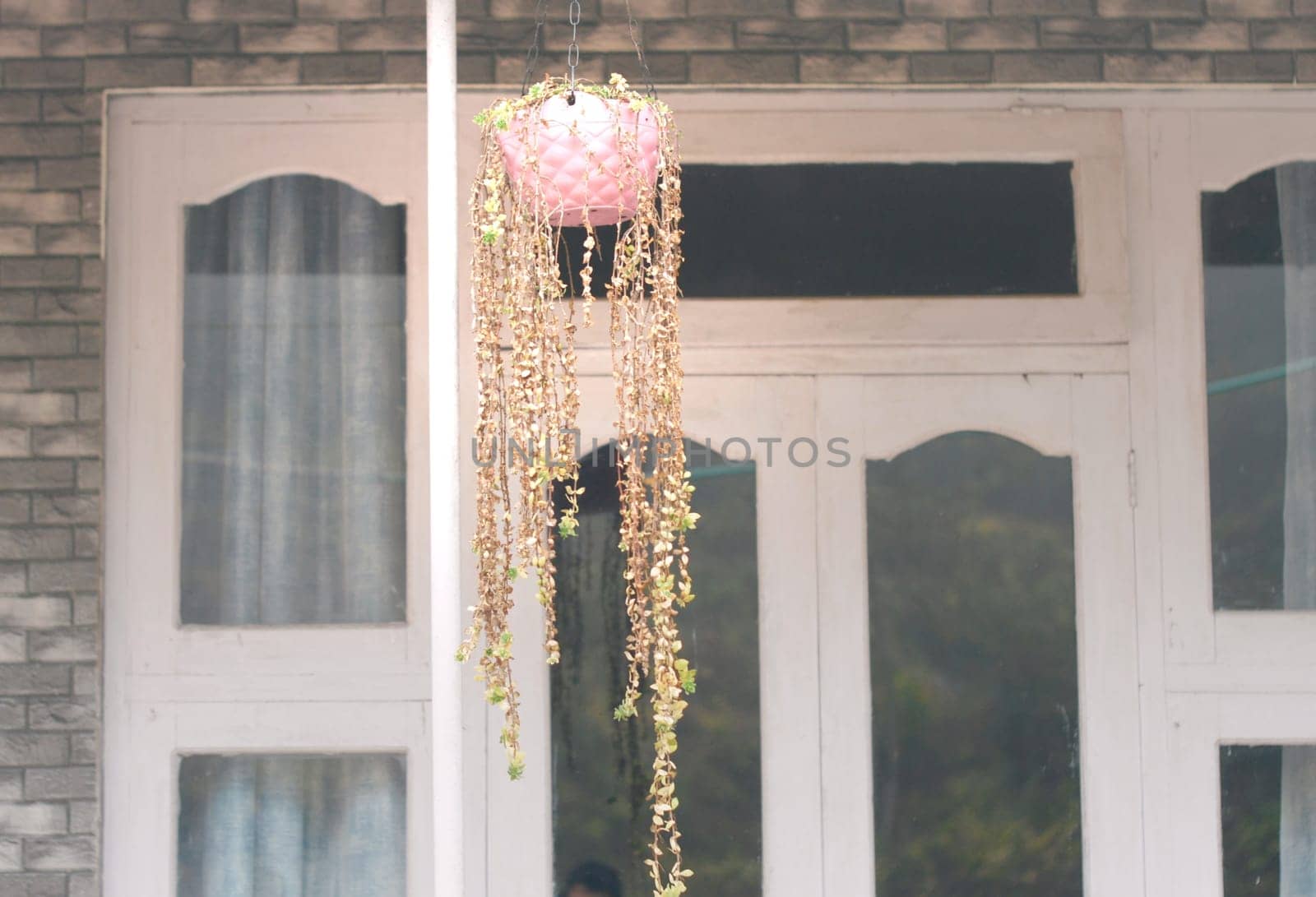 Light Hanging Lamp Planter with decorative flower in the house balcony