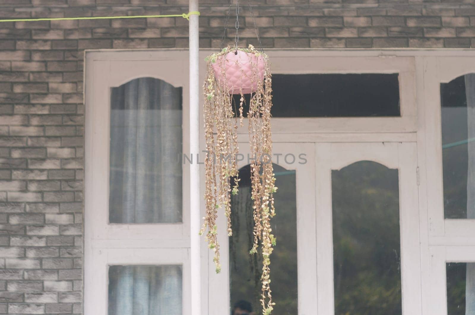 Light Hanging Lamp Planter with decorative flower in the house balcony