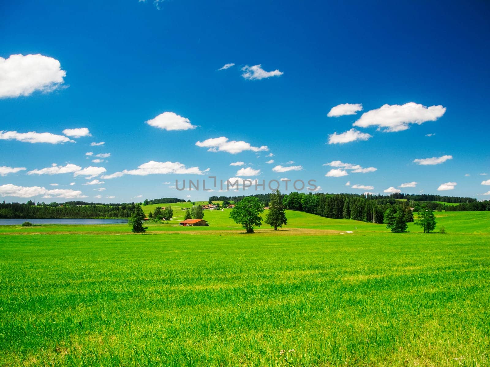 Summer landscape view around the Attlesee in Bavaria under a blue sky with small white clouds in summer.